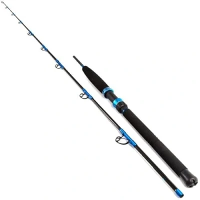 Image of Fladen Maxximus Blue Ocean 2,10m (30 50lb) Sea fishing rod