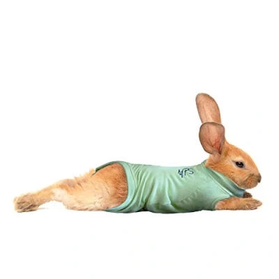 Image of MPS Medical Pet Shirt Rabbit, Surgery Recovery Suit, Green, X Small
