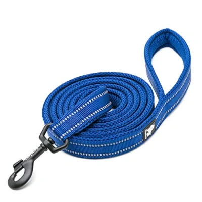 Image of WINHYEPET True Love Dog Leash Nylon Reflective Comfortable Handle Lead Puppy Training Walking Rope Easy Control Suitable Small Medium Large Breeds 110cm Length TLL2111(Royal Blue,M)