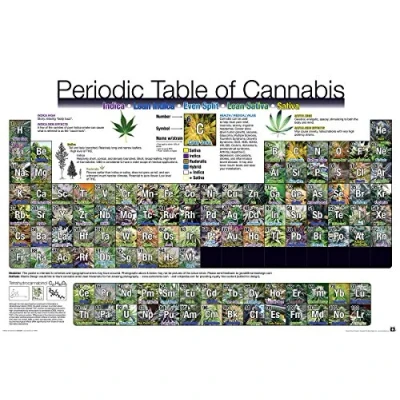 Image of Close Up Periodic Table Of Cannabis (91,5cm x 61cm) + a surprise poster!