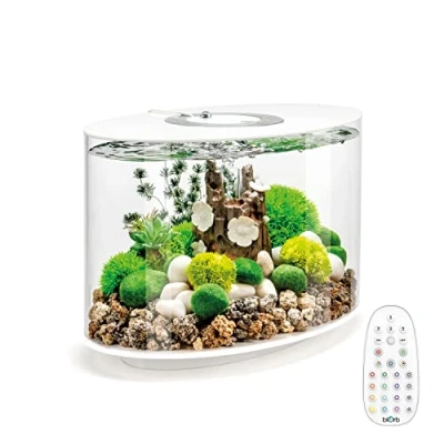 Image of LOOP 15 Aquarium with Multi Colour LED light remote control