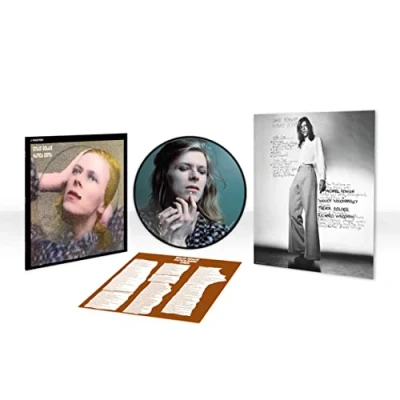 Image of Hunky Dory [Picture Disc] (2015 Remastered Vinyl) [VINYL]