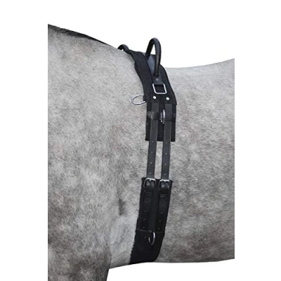 Image of HKM Lungierbedarf 1270191000654 Black One Size