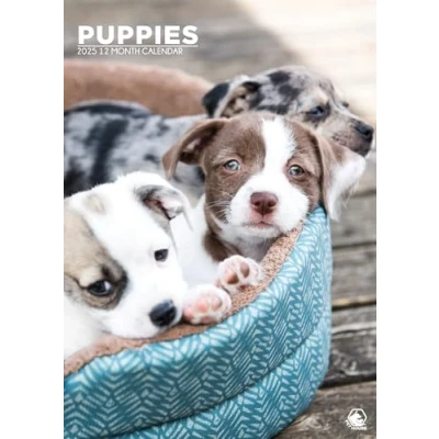 Image of Puppies 2025 A3 Size Wirobound Calendar