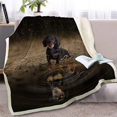Image of BlessLiving Cute Dog Throw Blanket Sherpa Fleece 3d Animal Print Reversible Blankets for Bed and Couch Dachshund Twin/Double (150x200cm)
