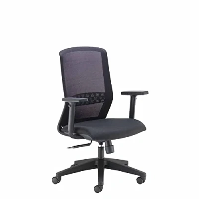 Image of Office Hippo Executive Desk Chair, Ergonomic Home &amp; Chair With Seat Slide, Lumbar Support and Adjustable Arms, Synchro Tilt Mechanism For Extra Comfort, Daily Use Computer Black