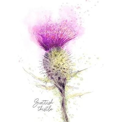 Image of Wee Blue Coo Scottish Thistle Flower Head Watercolour Scotland Art Print Poster Wall Decor 12X16 Inch