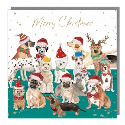 Image of General Christmas Card Dogs in Santa Hats Artistic Festive Design Made the UK Eco Friendly