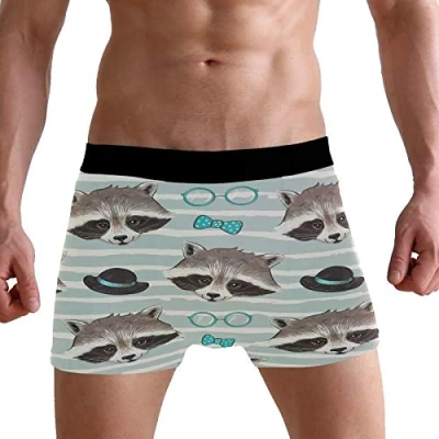Image of PUXUQU Mens Boxers Shorts Cute Raccoon Boxer Briefs Underwear for Men Boy
