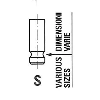 Image of 12911M68K00000 Inlet Valves FRECCIA R6611/SNT 27,47mm Nitrided valve stem