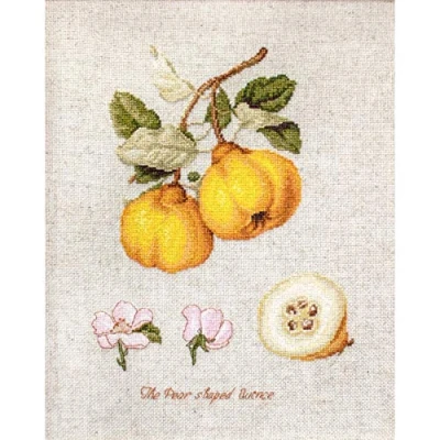 Image of Luca S BL22430 The Pear Shaped Quince Cross Stitch Kit