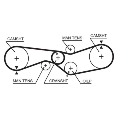Image of 75527444, 75527445, GX0145202A, GX0145302A Timing Belt GATES FleetRunner Micro V Stretch Fit 5012 93,105 1000mm 19,1mm CITROËN: GS Hatchback