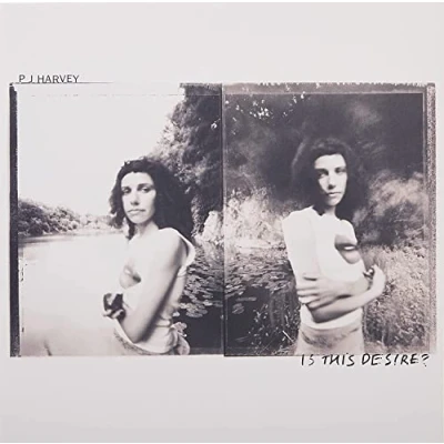Image of P.J. Harvey Is This Desire? 2021 UK vinyl LP 0898528