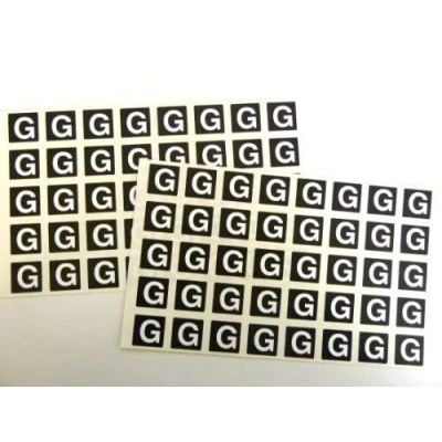 Image of Letter G, White Alphabet Letters on Black 20x20mm Square Labels Durable Plastic Stickers