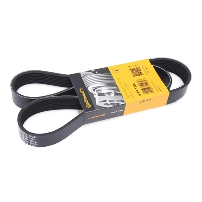 Image of RF5D15909, RF5D159099F, RF5D15909A9F, RF7L15909, RS7L15909 V ribbed belt CONTITECH 8PK1226 1226mm 8 MAZDA: 3 Hatchback, 5, 6 Hatchback