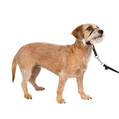 Image of PetSafe Easy Walk Head Collar