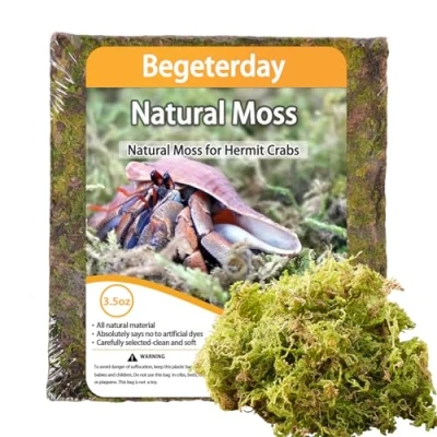 Image of Begeterday 100g Natural Moss for Hermit Crabs, Ideal Crab Supplies Tank Habitat