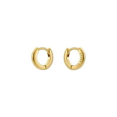 Image of Ted Baker Crisete Logo Hoop Earrings (10mm) For Women (Gold)