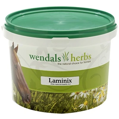 Image of Wendals Laminix 1kg