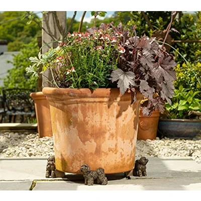 Image of Potty Feet Bichon Frise Themed Plant Pot Bronze Color Set of 3