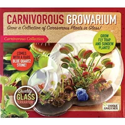 Image of Grow Your Own Venus Fly Trap Complete Kids Terrarium Kit to Sprout and Sundew Plants Includes Everything Needed for The Thrive…