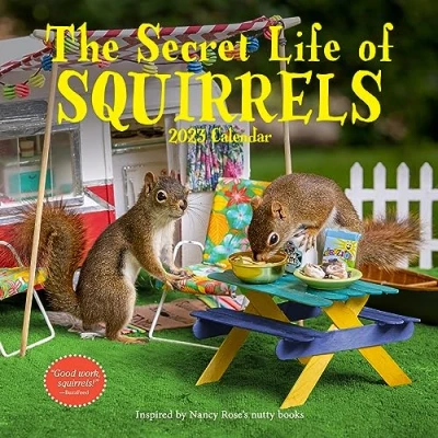 Image of The Secret Life of Squirrels Wall Calendar 2023: Wild Interacting with Handcrafted Domestic Scenes