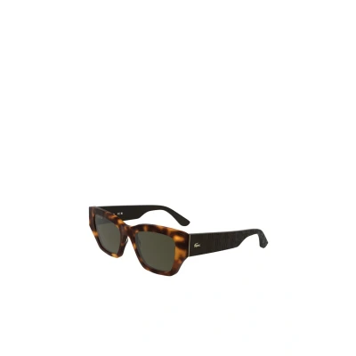 Image of Lacoste Woman L6053S 214 Sunglasses Acetate Havana Brown Butterfly Normal