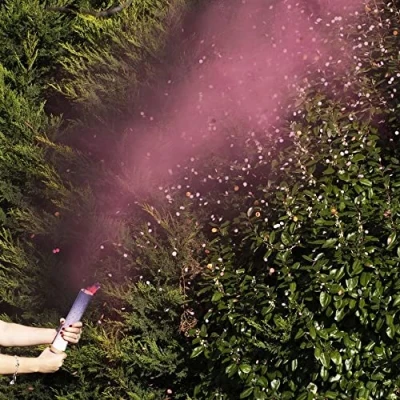 Image of Ginger Ray Pink Gender Reveal Smoke Cannon with Confetti Baby Shower