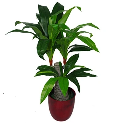 Image of Leaf Design UK Artificial Dracaena Plant with Black Pot, Variegated, 75cm