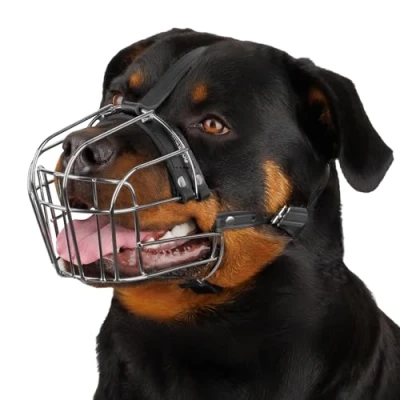Image of BronzeDog Dog Muzzle Wire Basket Rottweiler Adjustable Leather Straps