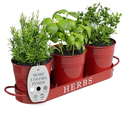 Image of Barnyard Designs Farmhouse Herb Garden Planter Indoor Set with Tray or Outdoor Apartment Window Box, Windowsill Pots Pots, Red, Set/3