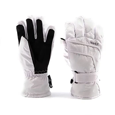 Image of Sinner Mesa Ski Gloves