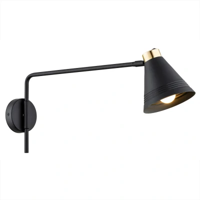 Image of Avalone Dome Wall Lamp Black Structure, Brass Elements V2