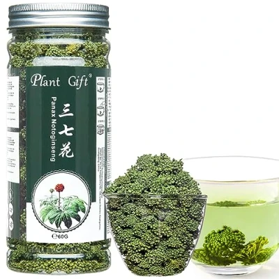 Image of Plant Gift Panax Notoginseng Flower, Sanchi Ginseng Tienchi Tea, Sanqi, Health Beauty Chinese Herbal 60G/2.12oz