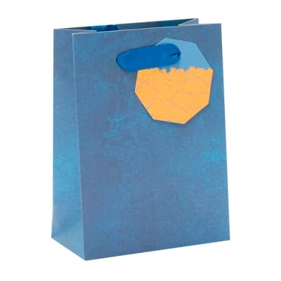 Image of UK Greetings Small Gift Bag For Him/Her/Friend Birthdays, Valentine&#039;s Day &amp; Other Events Blue Design