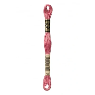 Image of DMC Stranded Cotton Embroidery Thread 760 per Skein