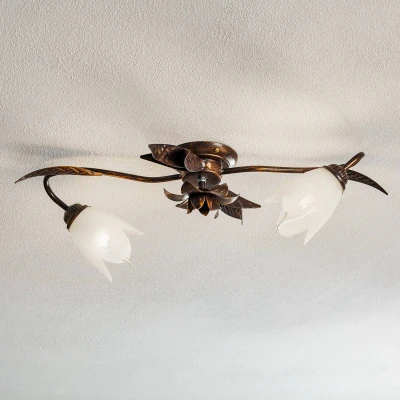 Image of Sonia Flower Design Multi Arm Semi Flush Ceiling Lamp, Glass Shades, 2x E14