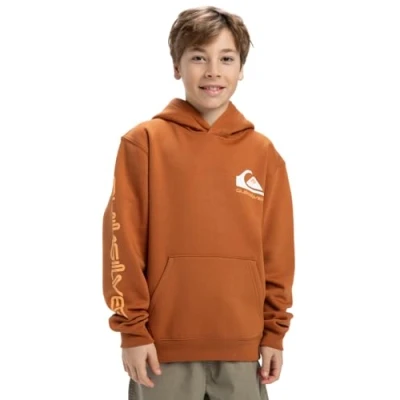 Image of Quiksilver Boys Omni Logo Hoodie Youth Pullover Sweater, Bran, 16 Years EU