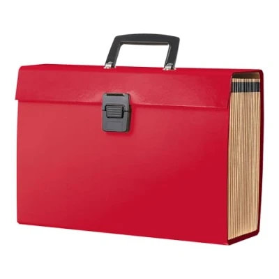 Image of Albert Austin File Organiser Multiple Compartment A4 Large Capacity Document with Waterproof Cover Paperwork Filing Folder for Storage (Viva Megenta)