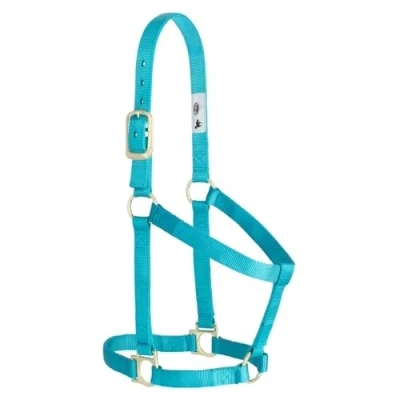 Image of Weaver Leather Basic Non Adjustable Nylon Horse Halter, Turquoise, 1&quot; Average