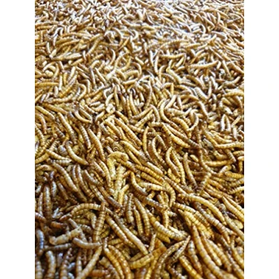 Image of direct deals 123 Premium Dried Mealworms 2kg for Wild Birds Protein Rich Garden Ideal Bird Food Small Fresh Convenient Feed &amp; Mealworm Feeder Treats