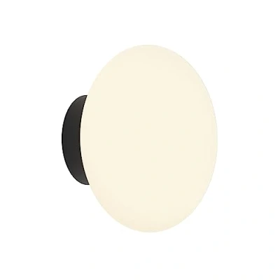 Image of Zeppo Wall Matt Black Light Astro