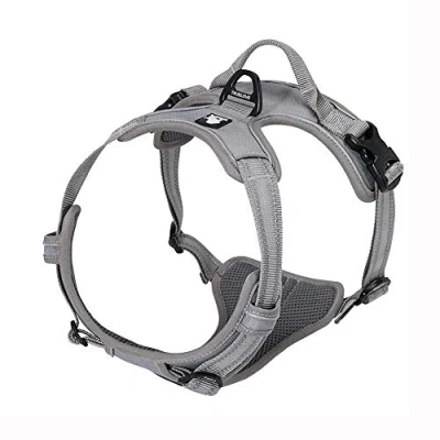 Image of TrueLove Dog Harness TLH5651 No pull Reflective Stitching Ensure Night Visibility, Outdoor Adventure Big Perfect Match Puppy Vest Now Available (Gray,XS)