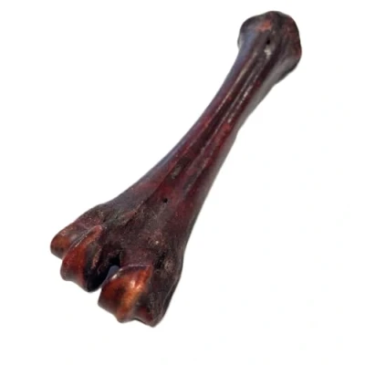 Image of *New* Smoked Shank Bone x 2 Natural Dog Treats Chews SMD
