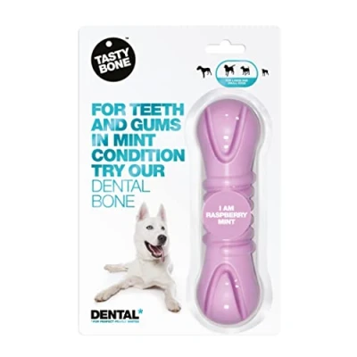 Image of TastyBone TastyBrush Dental Nylon Dog Chew Toy (Raspberry Mint) Strong Healthy Teeth &amp; Gums, Indestructible for Aggressive Chewers, Everlasting Flavour, Made in the UK