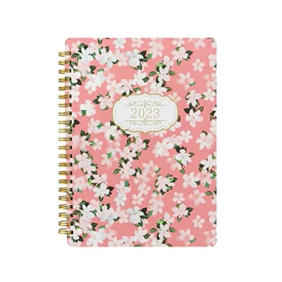Image of Letts Bloom A5 week to view 2023 diary pink