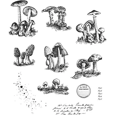 Image of Tim Holtz Stampers Anon Cling RBBR Stamp Set, Tiny Toadstools, One Size