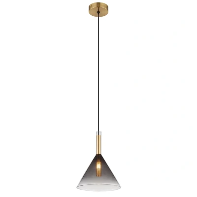 Image of Elisabeth Dome Slim Pendant Ceiling Light Brass Coloured Smoke Glass Shade 1x G9