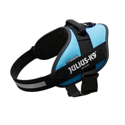 Image of Julius K9, 16IDC AM 2, IDC Powerharness, Size: Aquamarine