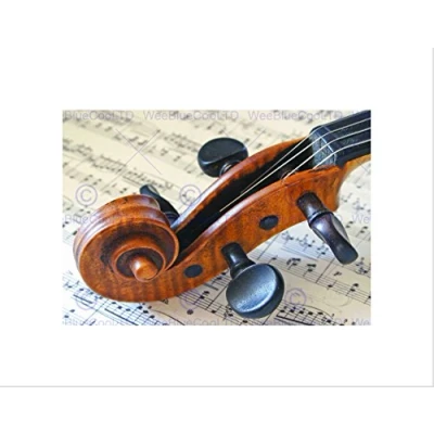 Image of Wee Blue Coo Violin Instrument Music Classical Art Picture Wall Print